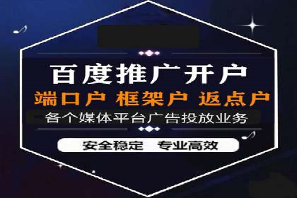 SEM代理操作技巧：成功案例揭秘